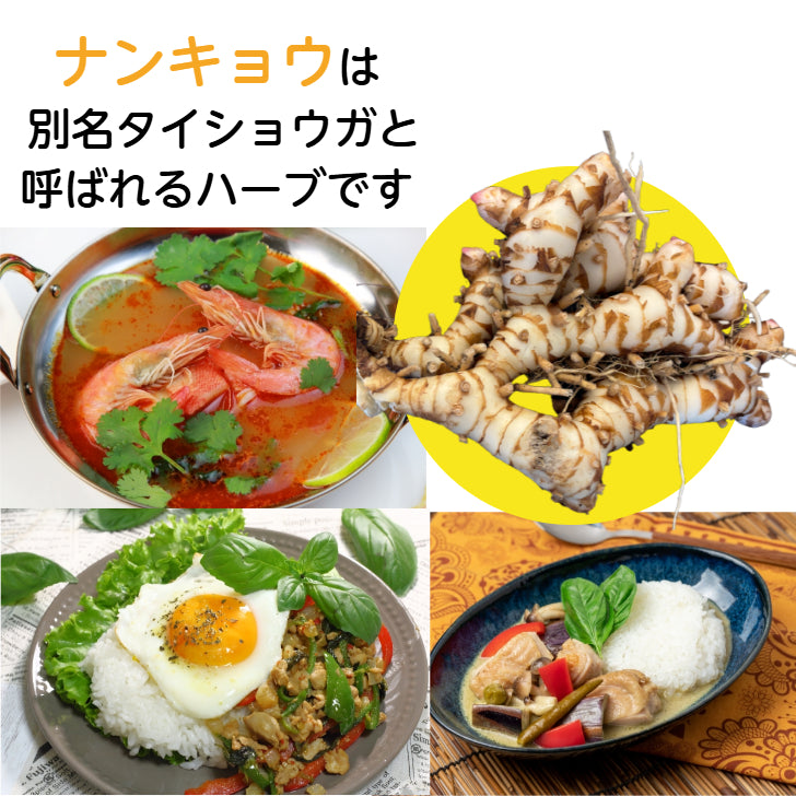 ナンキョウ日和 沖縄ナンキョウゼリー 30本