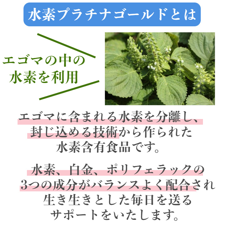 水素プラチナブレインゴールド