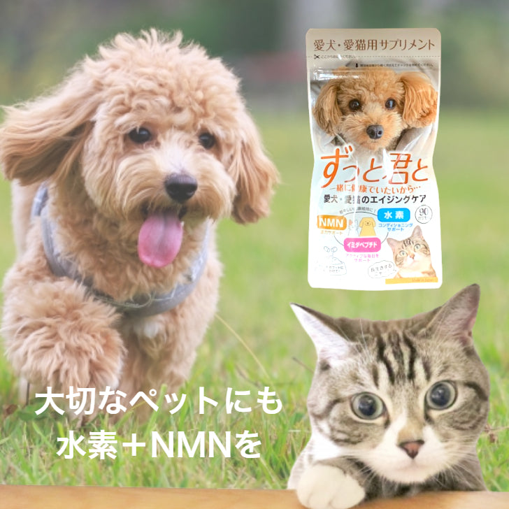 犬猫用栄養補助食　ずっと君と