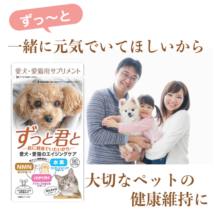 犬猫用栄養補助食　ずっと君と