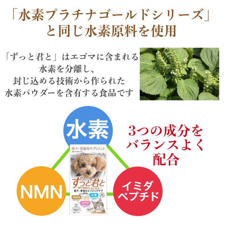 犬猫用栄養補助食　ずっと君と