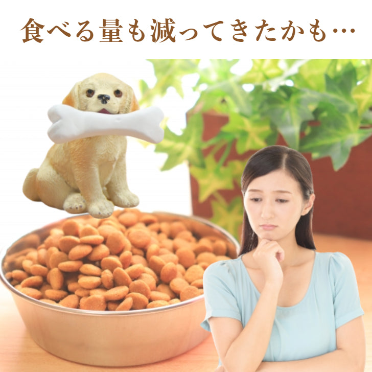 犬猫用栄養補助食　ずっと君と