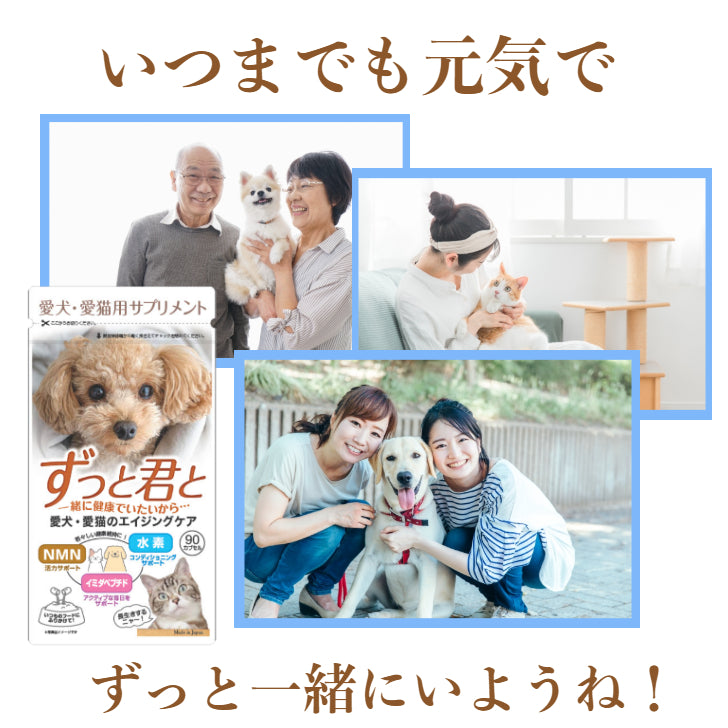 犬猫用栄養補助食　ずっと君と
