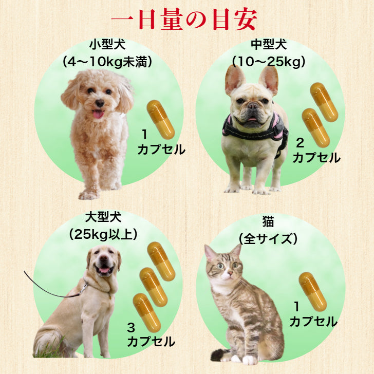 犬猫用栄養補助食　ずっと君と