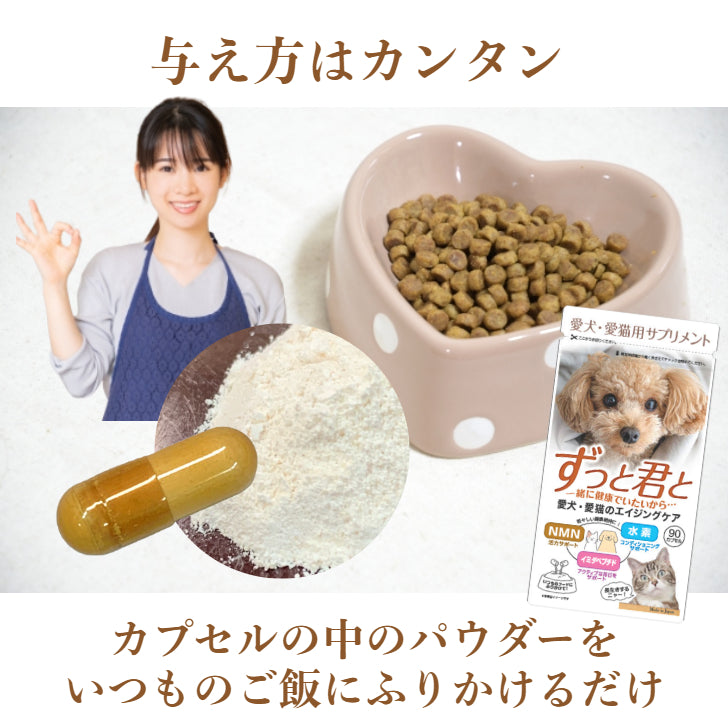 犬猫用栄養補助食　ずっと君と