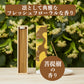cocosticq　菩提樹の香り